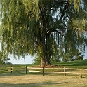 Scenery Montville Duchek 4373